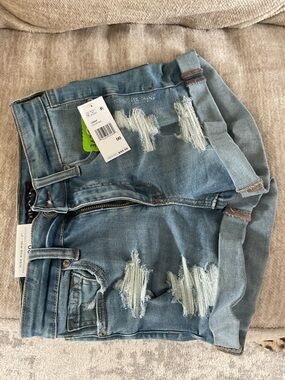 Aeropostale Light Blue Distressed Denim Jean Shorts